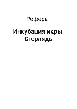 Реферат: Инкубация икры. Стерлядь