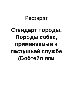 Реферат: Стандарт породы. Породы собак, применяемые в пастушьей службе (Бобтейл или Староанглийская овчарка)