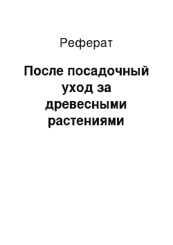 Реферат: После посадочный уход за древесными растениями