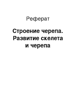 Реферат: Строение черепа. Развитие скелета и черепа