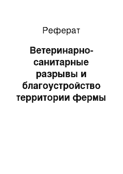 Реферат: Ветеринарно-санитарные разрывы и благоустройство территории фермы