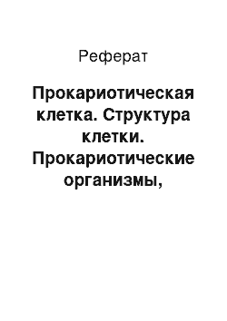 Реферат: Прокариотическая клетка. Структура клетки. Прокариотические организмы, эукариотические организмы