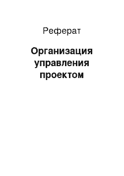 Реферат: Организация управления проектом