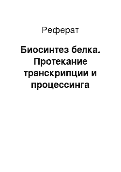 Реферат: Биосинтез белка. Протекание транскрипции и процессинга