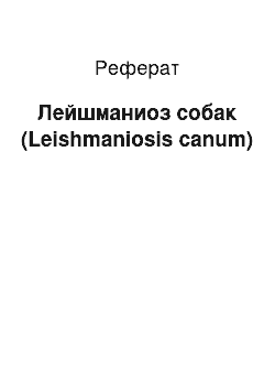 Реферат: Лейшманиоз собак (Leishmaniosis canum)