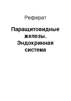 Реферат: Паращитовидные железы. Эндокринная система