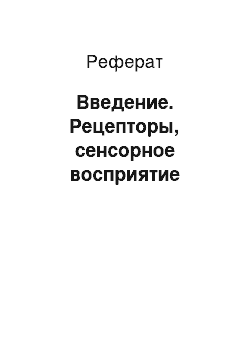 Реферат: Введение. Рецепторы, сенсорное восприятие