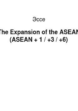 Эссе: The Expansion of the ASEAN (ASEAN + 1 / +3 / +6)