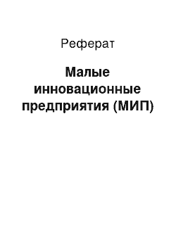 Реферат: Малые инновационные предприятия (МИП)