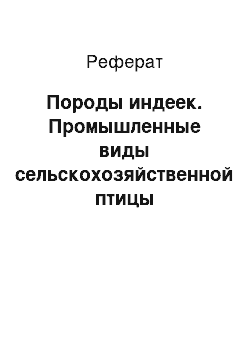 Реферат: Породы индеек. Промышленные виды сельскохозяйственной птицы