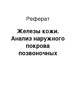 Реферат: Железы кожи. Анализ наружного покрова позвоночных