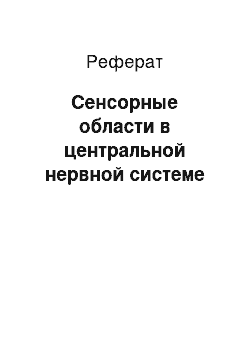 Реферат: Сенсорные области в центральной нервной системе