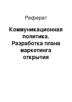 Реферат: Коммуникационная политика. Разработка плана маркетинга открытия Интернет–магазина по продаже кукол BJD