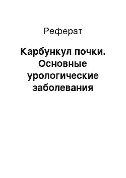 Реферат: Карбункул почки. Основные урологические заболевания