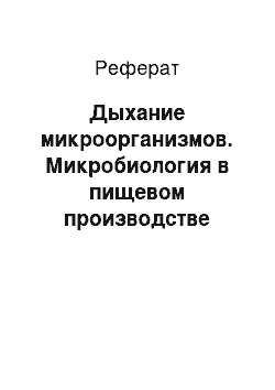 Реферат: Дыхание микроорганизмов. Микробиология в пищевом производстве