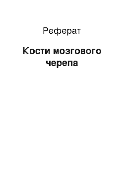 Реферат: Кости мозгового черепа