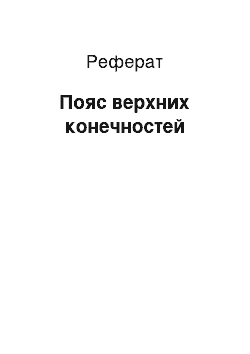 Реферат: Пояс верхних конечностей