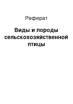 Реферат: Виды и породы сельскохозяйственной птицы