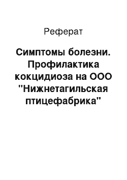 Реферат: Симптомы болезни. Профилактика кокцидиоза на ООО "Нижнетагильская птицефабрика"