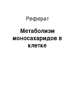 Реферат: Метаболизм моносахаридов в клетке