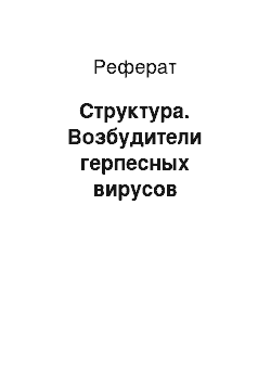 Реферат: Структура. Возбудители герпесных вирусов