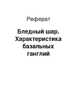 Реферат: Бледный шар. Характеристика базальных ганглий