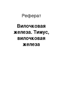 Реферат: Вилочковая железа. Тимус, вилочковая железа