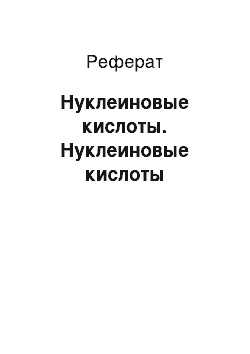 Реферат: Нуклеиновые кислоты. Нуклеиновые кислоты