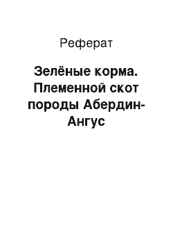 Реферат: Зелёные корма. Племенной скот породы Абердин-Ангус