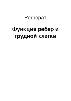 Реферат: Функция ребер и грудной клетки