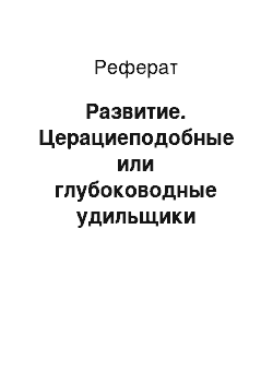 Реферат: Развитие. Церациеподобные или глубоководные удильщики