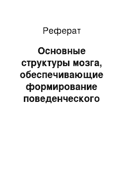 Реферат: Основные структуры мозга, обеспечивающие формирование поведенческого акта