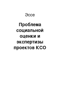 Эссе: Проблема социальной оценки и экспертизы проектов КСО