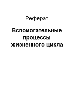 Реферат: Вспомогательные процессы жизненного цикла