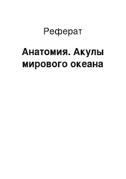 Реферат: Анатомия. Акулы мирового океана