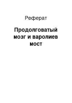 Реферат: Продолговатый мозг и варолиев мост