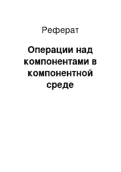 Реферат: Операции над компонентами в компонентной среде