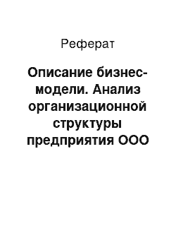 Реферат: Описание бизнес-модели. Анализ организационной структуры предприятия ООО "Касторама РУС"