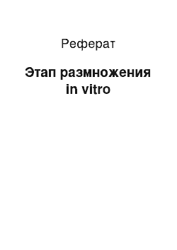 Реферат: Этап размножения in vitro