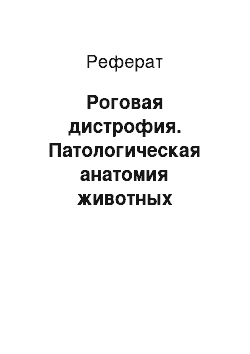 Реферат: Роговая дистрофия. Патологическая анатомия животных