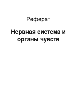 Реферат: Нервная система и органы чувств