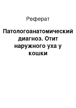 Реферат: Патологоанатомический диагноз. Отит наружного уха у кошки