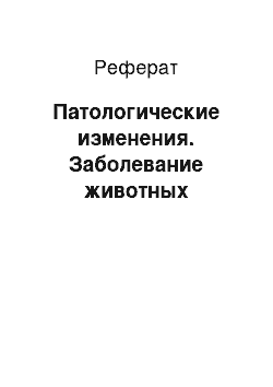 Реферат: Патологические изменения. Заболевание животных