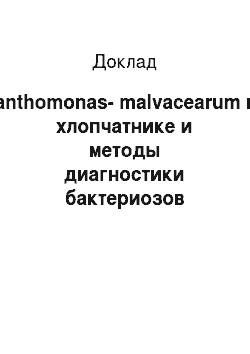 Доклад: Xanthomonas-malvacearum на хлопчатнике и методы диагностики бактериозов хлопчатника в семенах