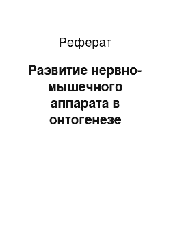 Реферат: Развитие нервно-мышечного аппарата в онтогенезе