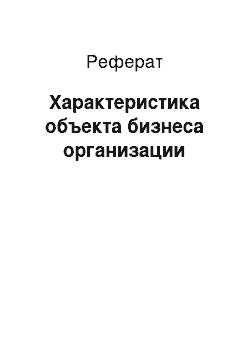 Реферат: Характеристика объекта бизнеса организации