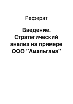 Реферат: Введение. Стратегический анализ на примере ООО "Амальгама"