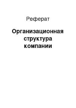 Реферат: Организационная структура компании