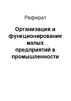 Реферат: Организация и функционирование малых предприятий в промышленности