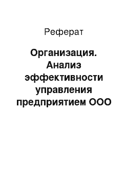 Реферат: Организация. Анализ эффективности управления предприятием ООО "Диарит"